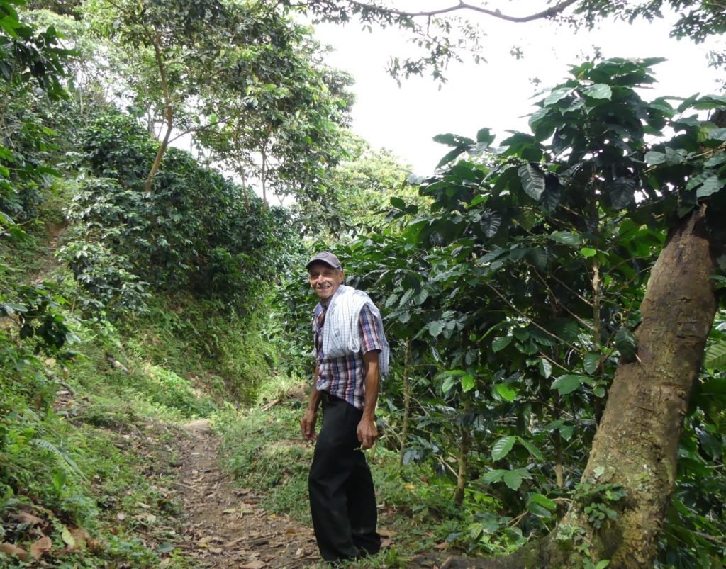 Empresa que reemplaza coca por miel y café en la Sierra ganó el premio Emprender Paz