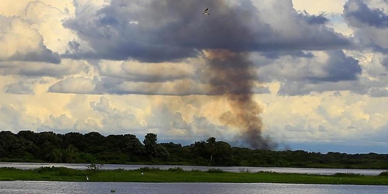 15 hectáreas fueron afectadas por incendio en el Parque Isla Salamanca
