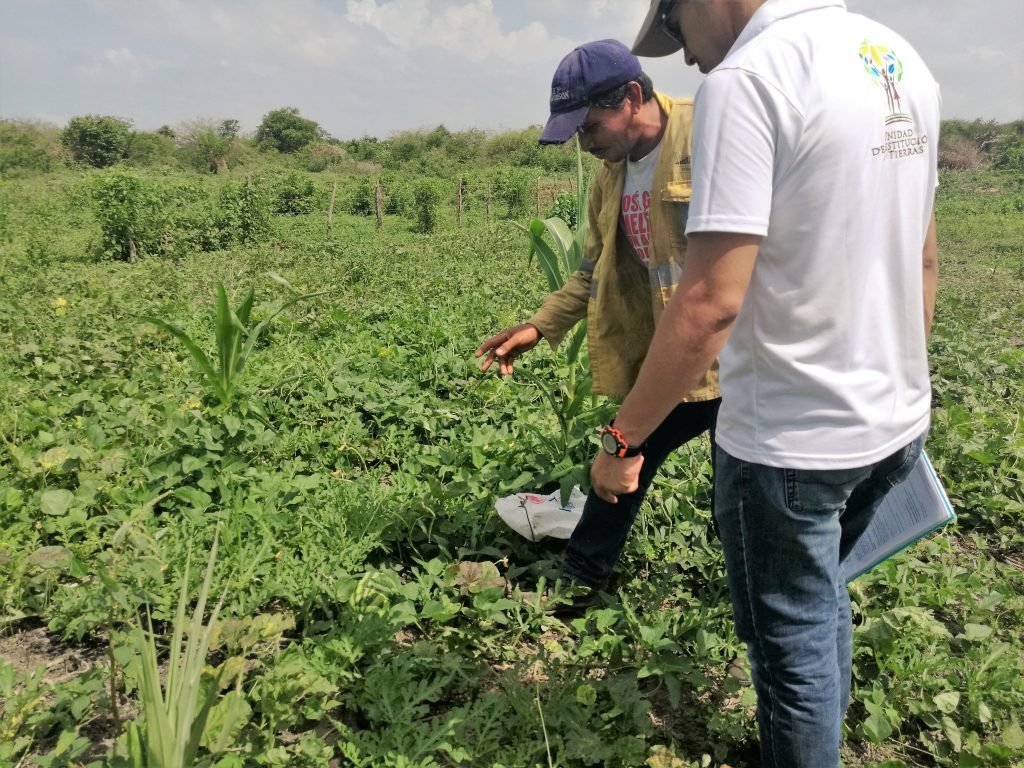 La meta de la Unidad de Restitución de Tierras es resolver el total de solicitudes en 2018