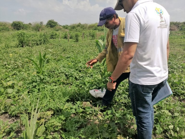 La meta de la Unidad de Restitución de Tierras es resolver el total de solicitudes en 2018