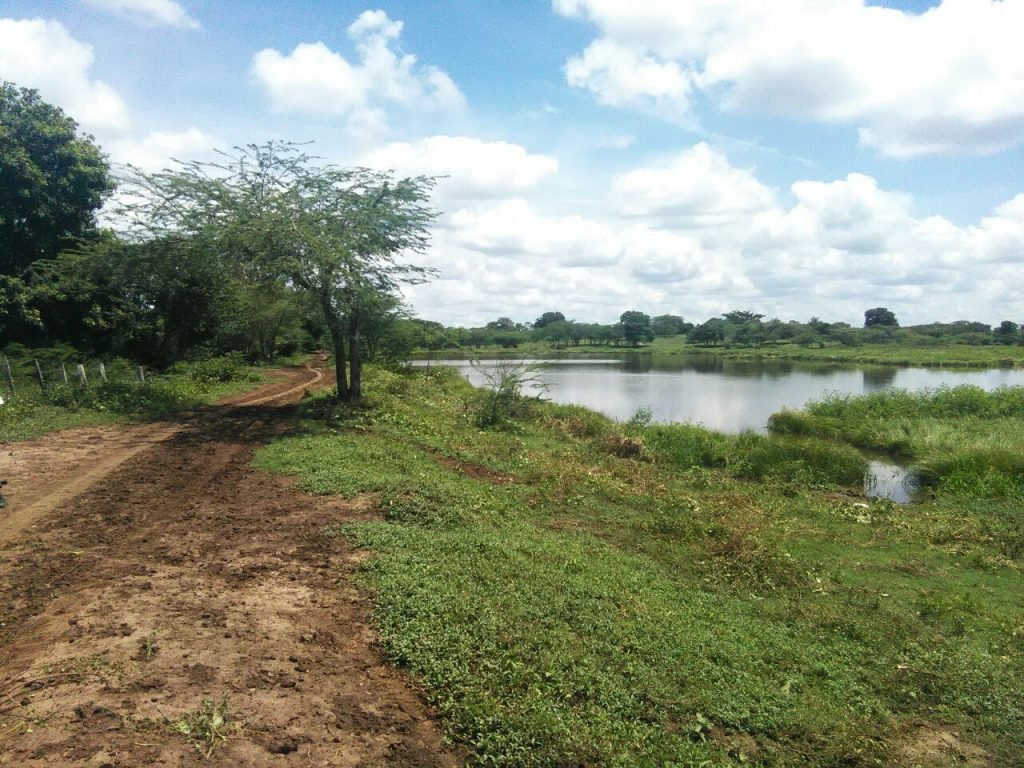 Siete familias víctimas de los paramilitares, en Magdalena, recuperaron sus tierras