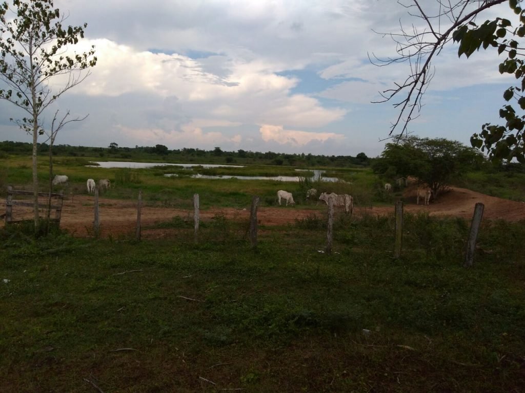 Fortalecerán proceso de restitución en Chibolo, Plato y Sabanas de San Ángel