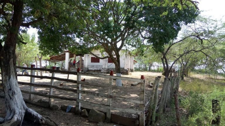 23 familias invasoras del Parque Isla Salamanca serán reubicadas