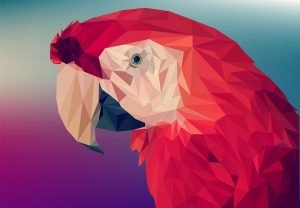 Guacamaya Santa Marta