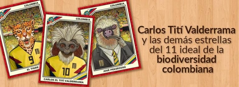 Carlos ‘El Tití’ Valderrama y ‘El Tigre’ Falcao, en el 11 ideal de la biodiversidad colombiana