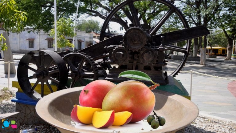 Gaira la dulce: la del mango, el mamón y la panela