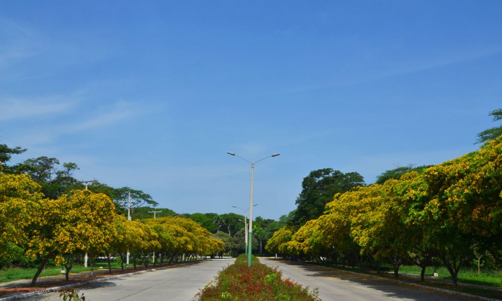 quinta de san pedro alejandrino guayacan 09 08 2018 1500x900px 014