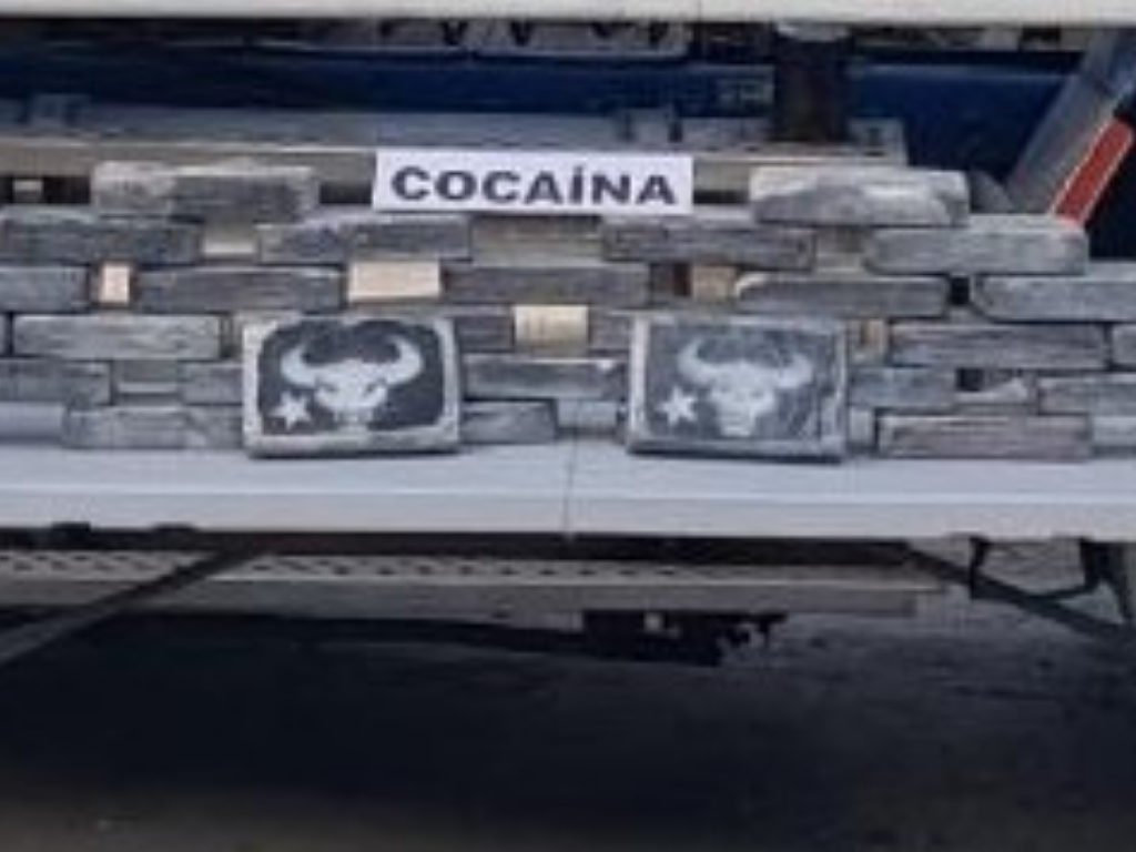Incautados 32.700 gramos de cocaína en container cargado con banano