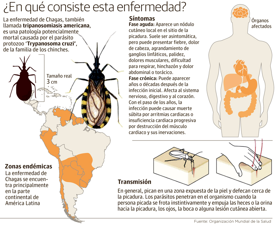 Mal de Chagas web