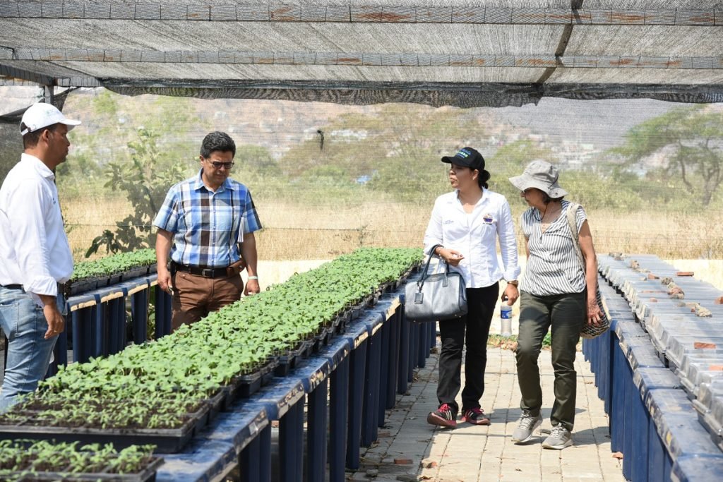 Los pares del CNA, destacaron relacionamiento con el sector productivo del Programa de Ingeniería Agronómica de la Universidad del Magdalena