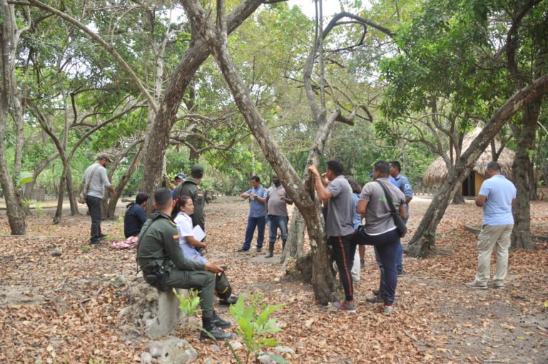 Parques Nacionales coordina jornadas de atención para los caballos del Parque Tayrona