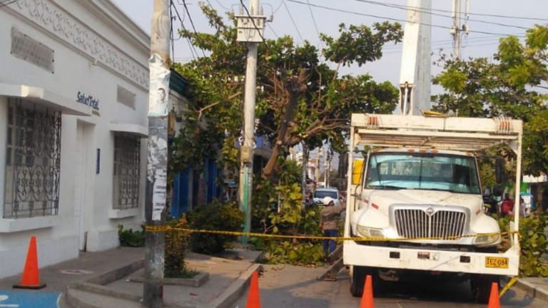 Electricaribe preserva servicio eléctrico con inversión de $100 millones en poda de árboles