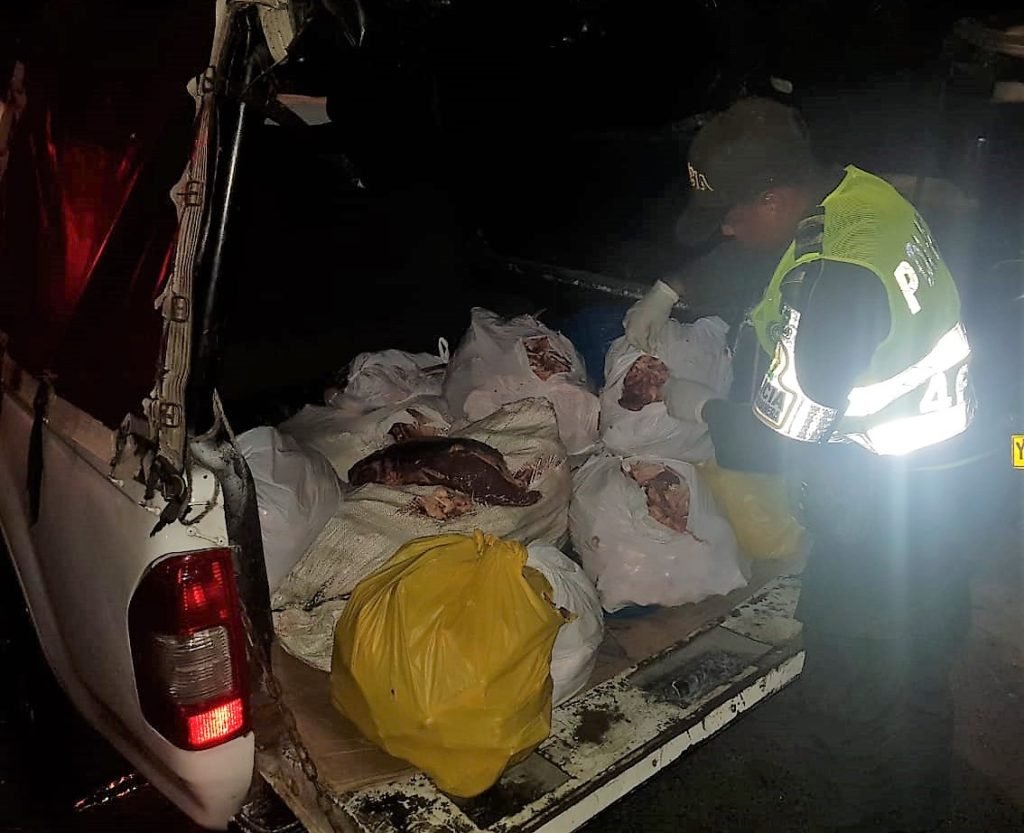 Policía logra incautar más de 280 kilos de carne