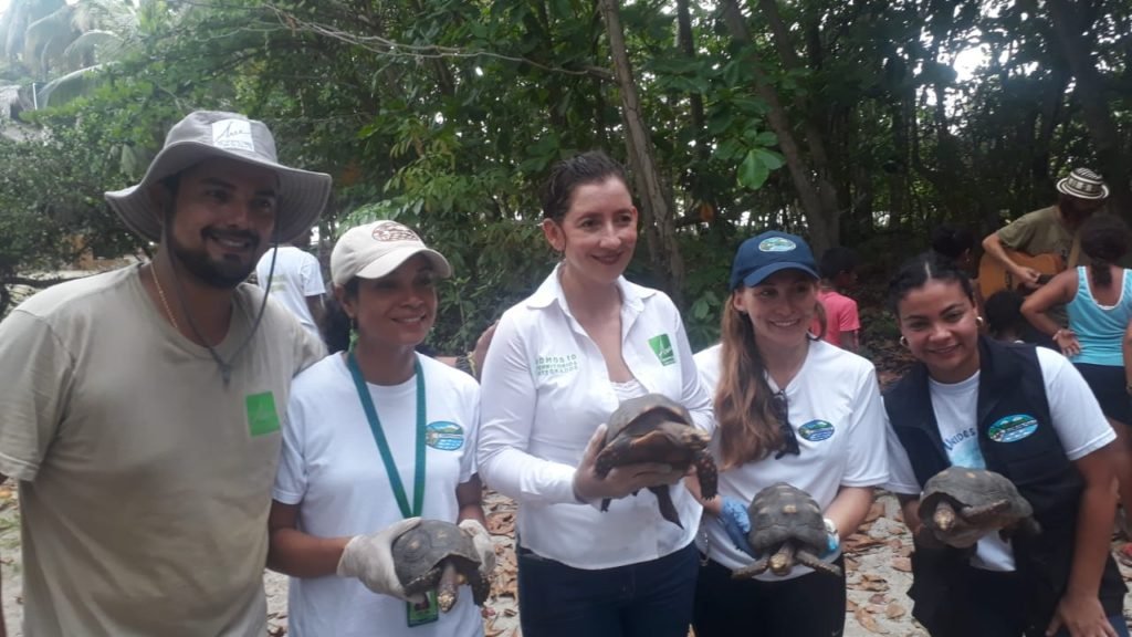 CORPAMAG LIBERÓ 500 MORROCOYOS RESCATADOS