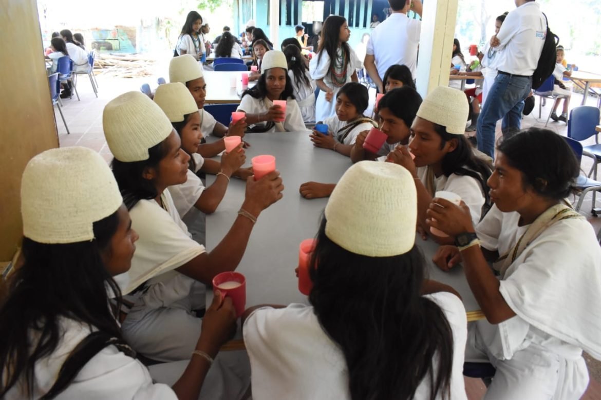 plan de alimentación escolar