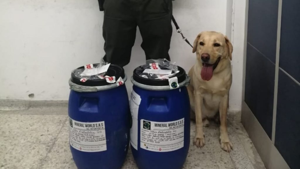 Policía incautó 50 kilos de cocaína en el aeropuerto de Santa Marta que iban para Holanda