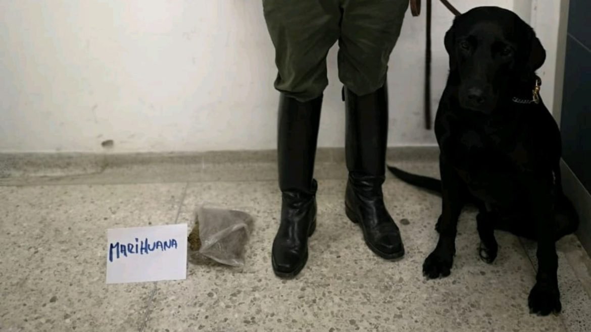 carabineros