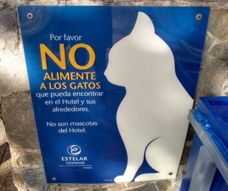 ¡No alimenten los gatos! El letrero que hizo enojar a los animalistas de Santa Marta