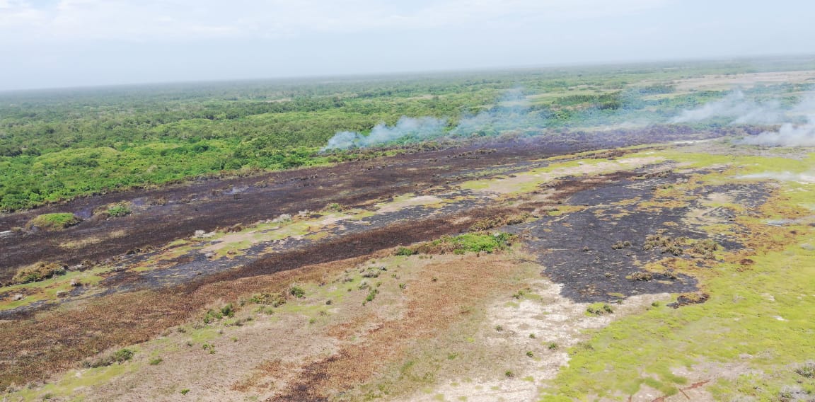 incendio forestal