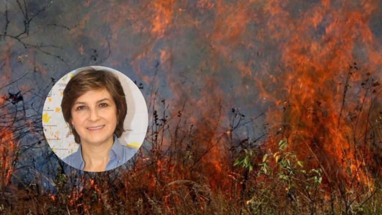 Parques Nacionales en alerta roja por posibles incendios en los próximos meses