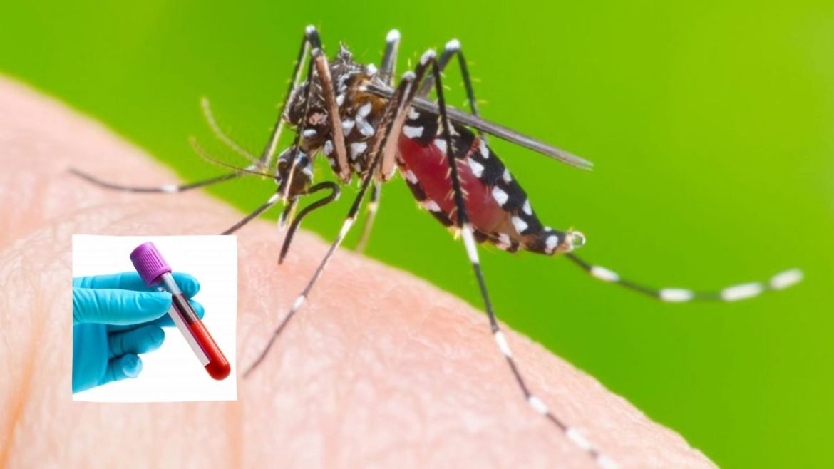 Dengue en Magdalena