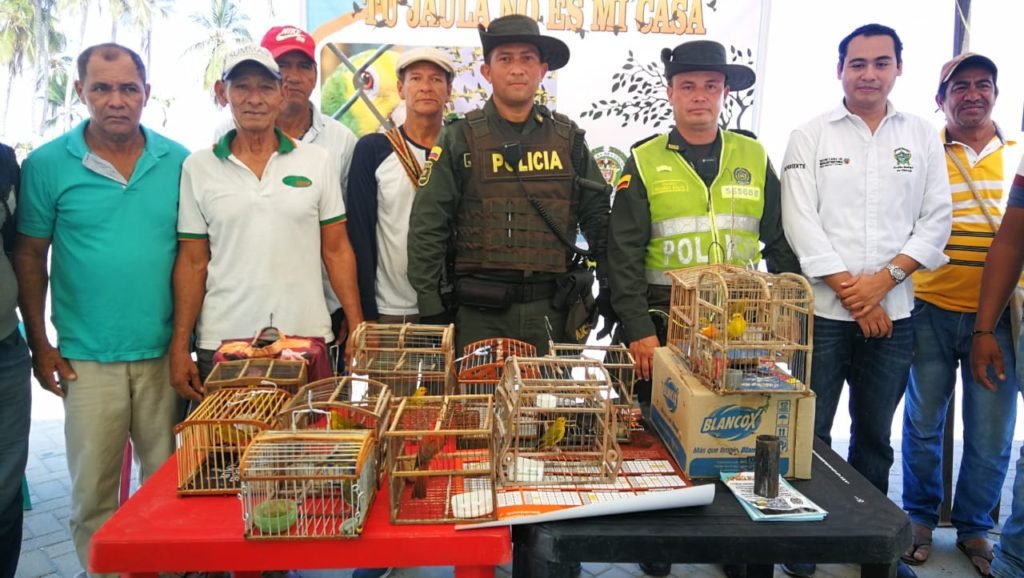 «Tu jaula no es mi casa» la campaña encaminada a la no tenencia de animales silvestres en casa
