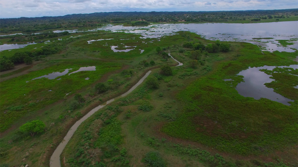 Corpamag realizó obras de limpieza en Caño Cotoré, municipio de Pedraza