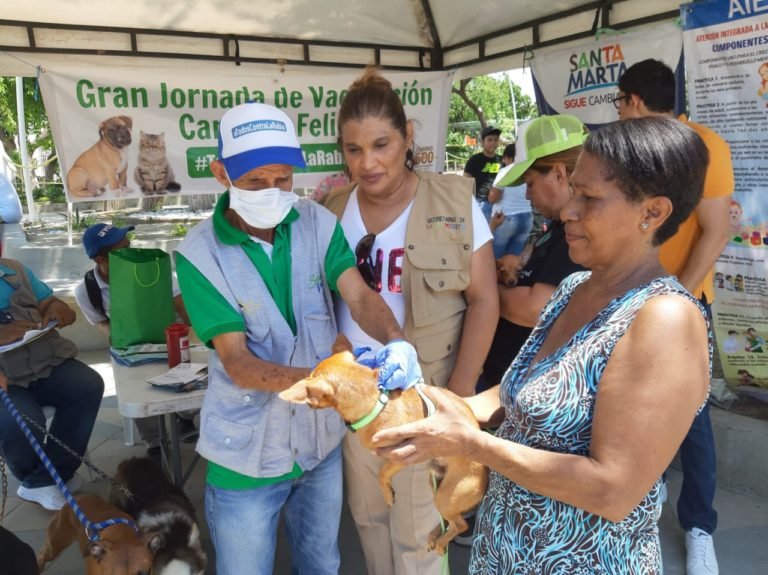278 caninos y felinos vacunados durante el día mundial contra la rabia