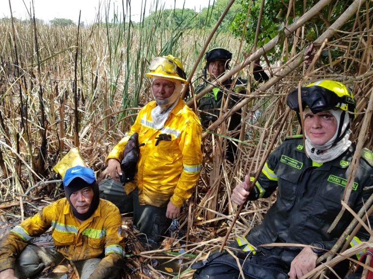 52 brigadistas atienden incendio forestal en Vía Parque Isla de Salamanca