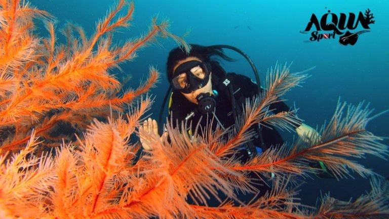 Sumérgete en el mar de Santa Marta con Aqua Sport