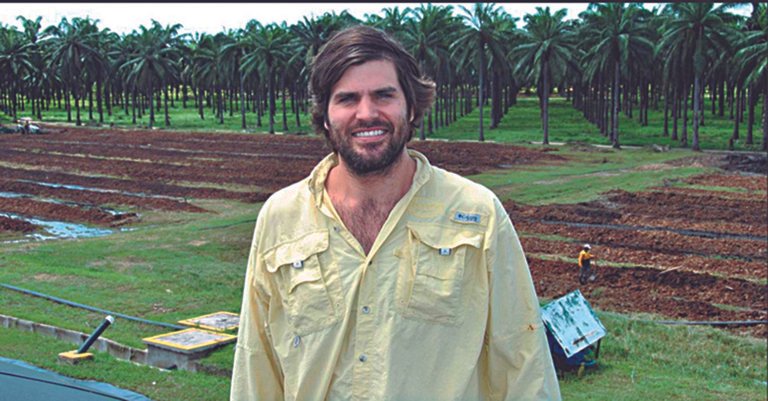 ¿Qué hizo Daabon para ocupar el primer lugar de productores de palma sostenible?