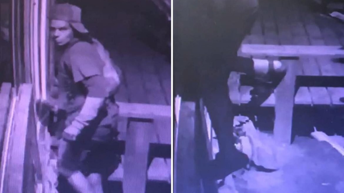 Diseño sin título (12)