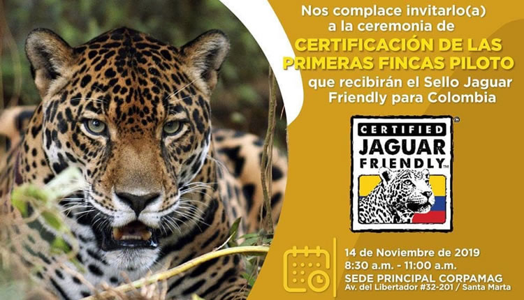 Jaguar Friendly en el Magdalena