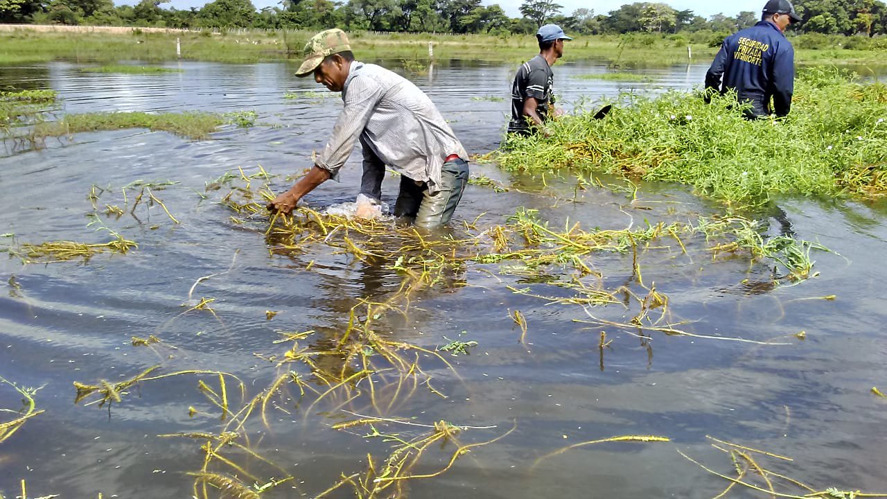 pescadoresdos