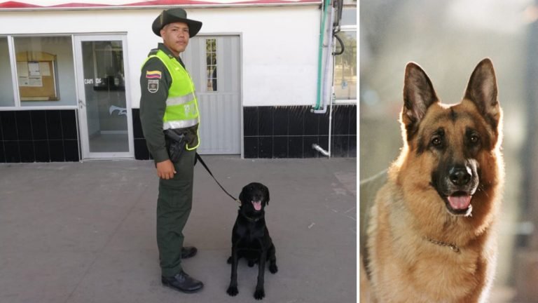 Blaky: El ‘Comisario Rex’ de la Policía Metropolitana