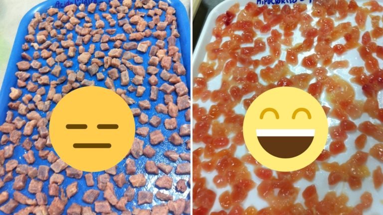 ¡Unimagdalena le da gusto a los niños! Caramelos de res, pollo y pescado