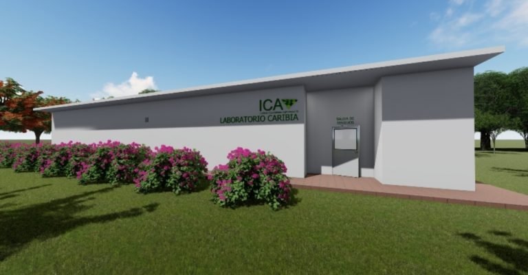 Magdalena, primera línea de defensa contra el Fusarium ‘asesino’