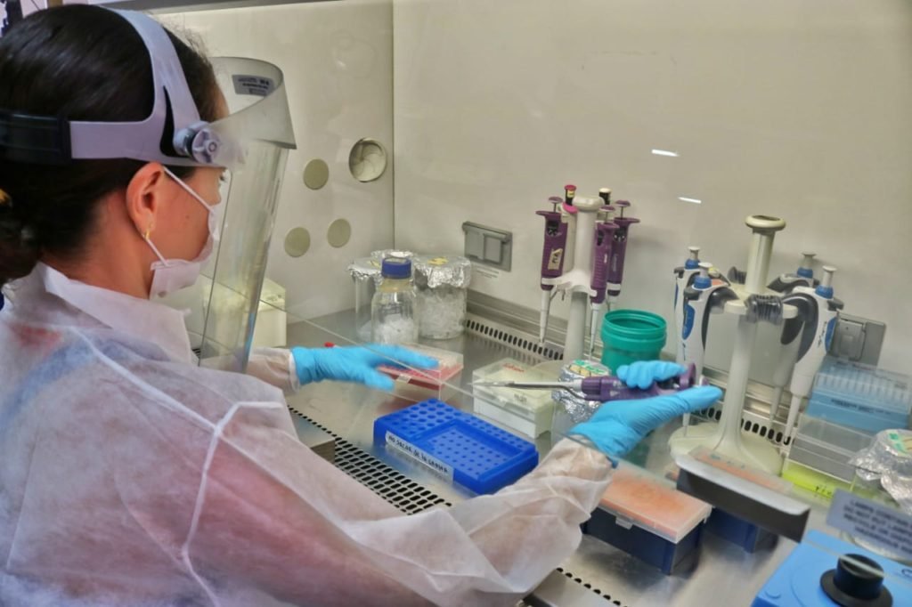 Universidad del Magdalena se prepara para testeo de coronavirus