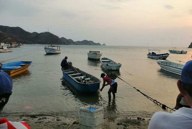 Pesca Taganga pescadores