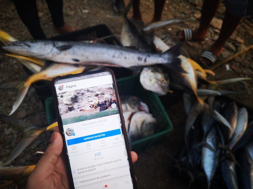 Así vende Taganga pesca artesanal por internet y supera coronavirus