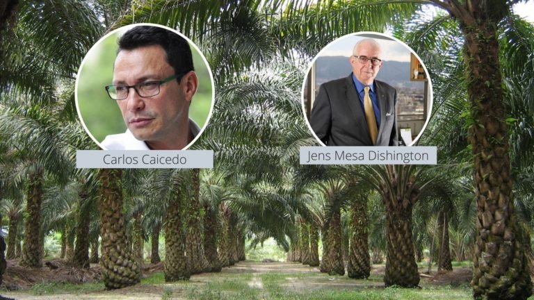 ¡Ignorante!, la indirecta de Fedepalma al gobernador Caicedo