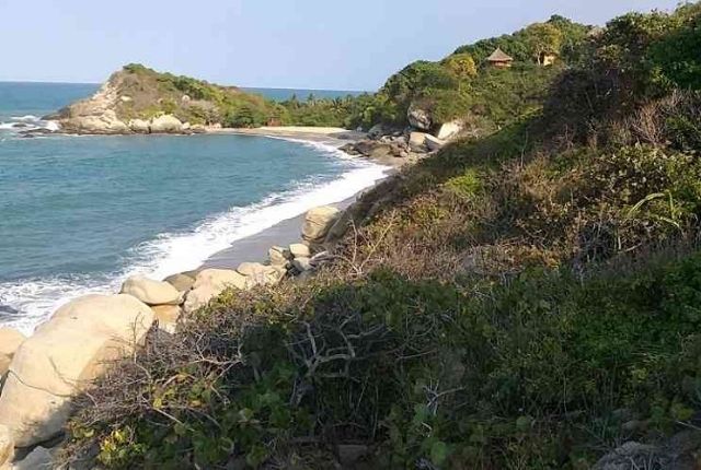 propuesta Tayrona 2