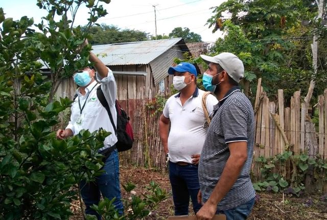 Contratistas San Zenon 3