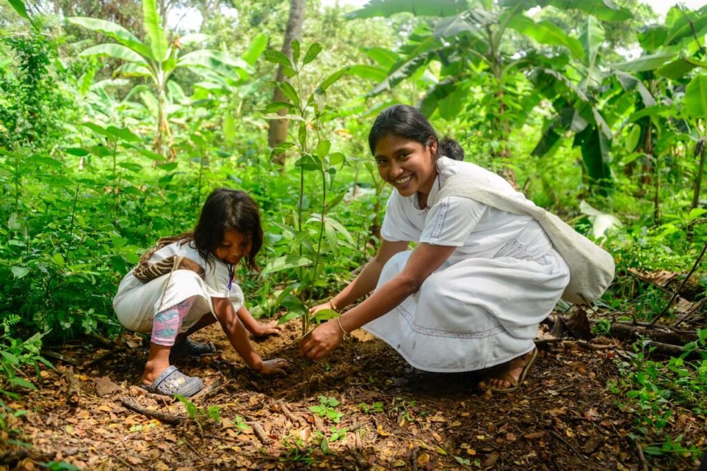Liderazgo colectivo, la clave para cuidar medio ambiente de Santa Marta