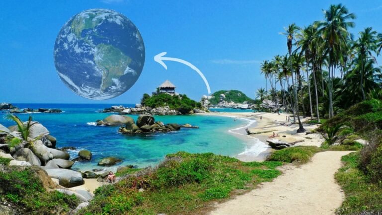 En el día de la tierra, conozca cómo la pandemia ha afectado al planeta