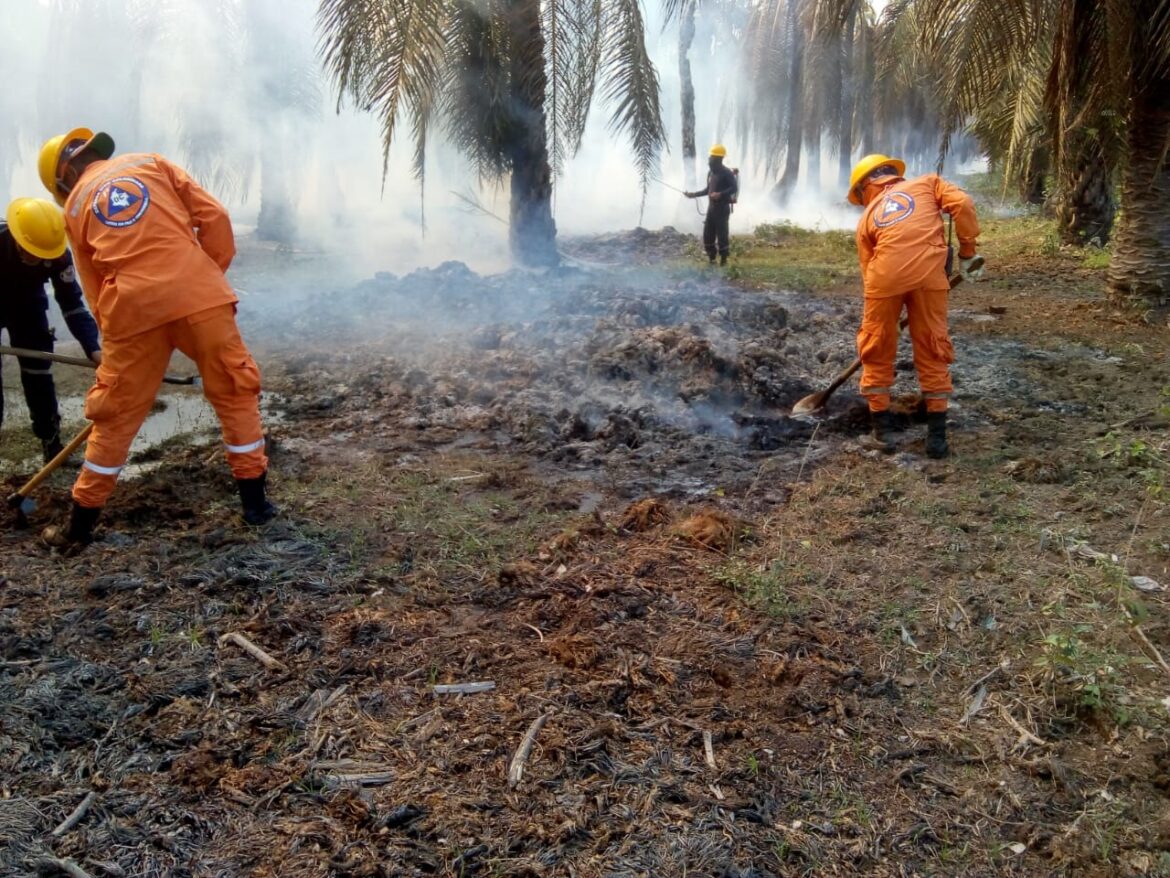 INCENDIOS FORESTALES 1