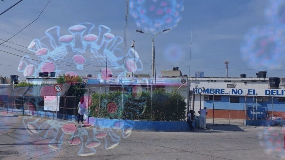 RENUNCI (7)