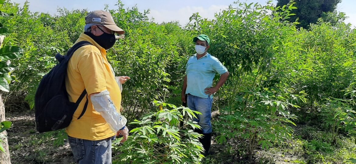 WhatsApp Image 2021-04-30 at 9.56.09 AM (1)