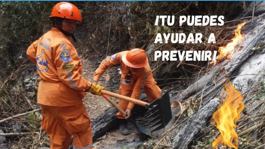 Guía para prevenir incendios forestales, según la Defensa Civil Magdalena