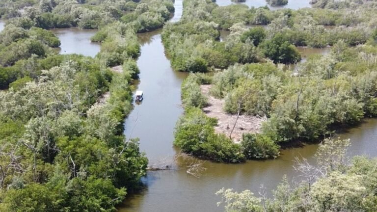 Corpamag iniciará obras de mantenimiento en los caños de Sitionuevo, Ciénaga Grande